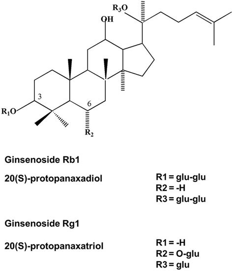 ginsenoside rb1|ginsenoside rg2.